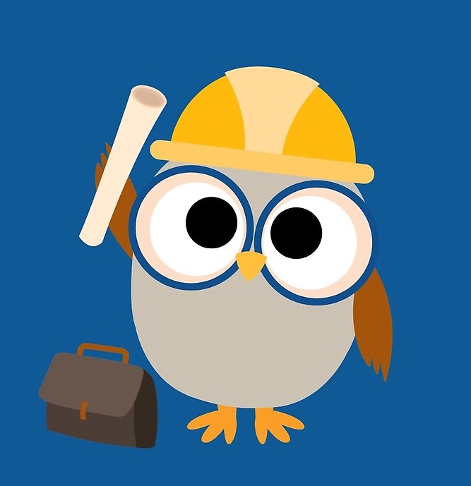 Owl with Hard Hat